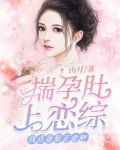 揣孕肚上恋综,找点备胎正常吧 山月