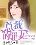 总裁的罪妻好看的小说