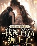 偷生豪门继承人,我被首富缠上了