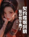 契约婚姻到期陆总他不离了