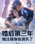 婚后第三年,她注销身份消失了 槐玉