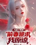 前妻入狱5年的小说
