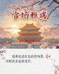 官场雅痞小说全文免费阅读