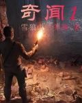 奇闻101荒野