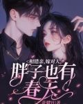 相错亲嫁错人的小说