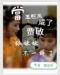 王熙凤妹妹可曾读过书