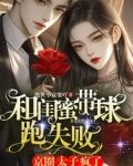 汴京大娘子