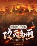 侯府庶子朱易小说