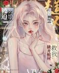 电视剧中的女刑警队长
