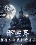 那些年,我在下面兼职的日子平商小说