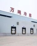 四合院:开局迎娶于莉笔趣阁