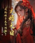 大婚之日,我的娘子太不对劲了小说