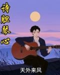 诗胆琴心