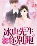 萌妻来袭!冰山先生你别跑