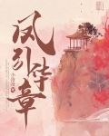 凤起华藏小说全章