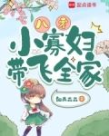 重生八零寡嫂