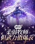 神印:柔弱牧师,但武力值爆表免费观看
