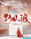 野风渡小说全文免费阅读