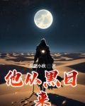 他从黑夜来 小说