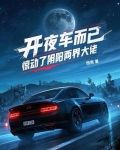 开夜车的恐怖经历