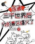 把系统交给国家后