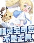 宝可梦不是工具是伙伴