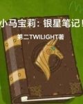 小马宝莉银宝