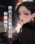 绝色总裁 小说