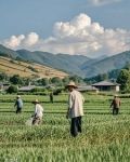 做个小地主吧