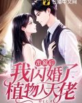 小说出狱后我闪婚了植物人大佬