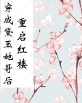 穿成黛玉她哥后重启红楼 笔趣阁