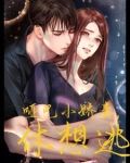 腹黑老公傻傻妻免费