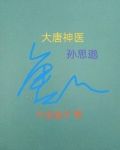 大唐神医孙思邈小说一共多少章