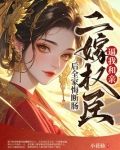 二嫁权臣tt