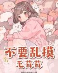 摸着毛茸茸的布料