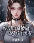 纯阳双修小说