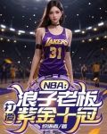 nba:浪子老板,打造紫金十冠的小说