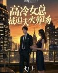 高冷女总裁追夫火葬场小说下载