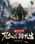 魂穿异世风生水起