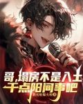 哥,塌房不是入土,干点阳间事吧小说