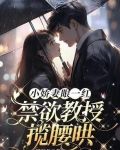 娇宠小萌妻教授太坏了