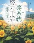 重生七零奋斗