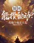 开局成为天道的小说