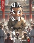 大秦请回答 小说
