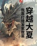 穿越大夏免费阅读