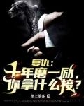 十年复仇游戏