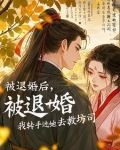 大明伪君子小说TXT免费下载