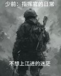 少前指挥官生涯数据
