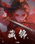 藏锦罗