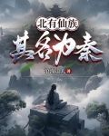 北有妖帝南有毒皇是第几集